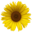 Adey Logo